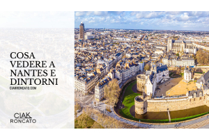 Cosa vedere a Nantes e dintorni