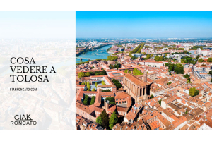 Cosa vedere a Tolosa