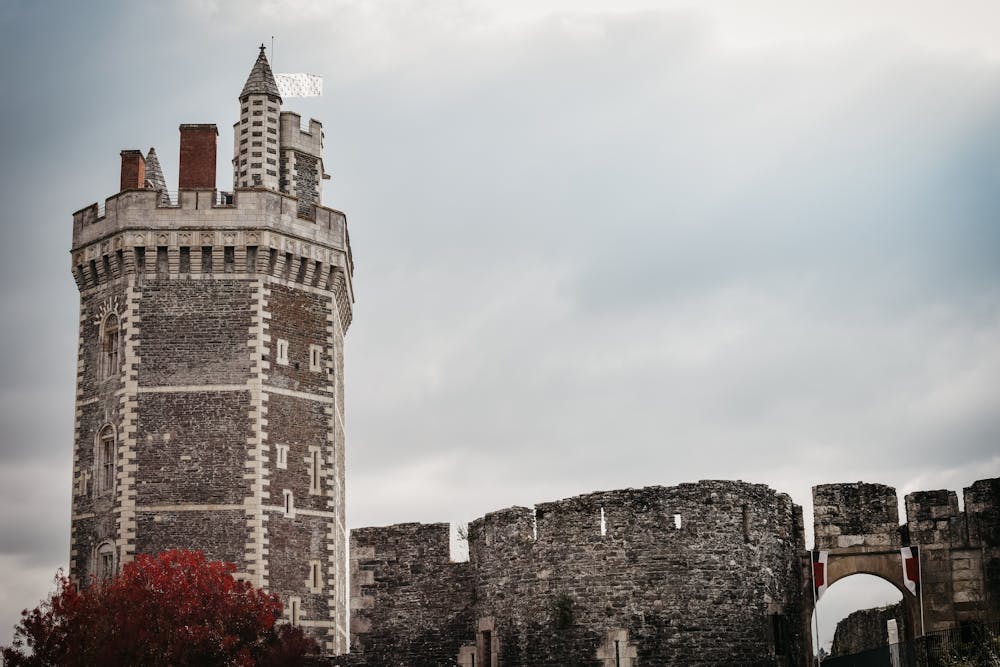 Quali sono i castelli della Loira vicino a Nantes: Castello di Oudon 